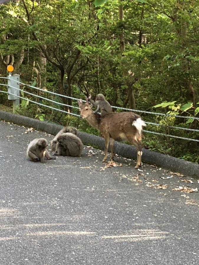 Yakushima Pension Luana House Kültér fotó